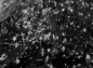 Preview: Schneeflocken Obsidian